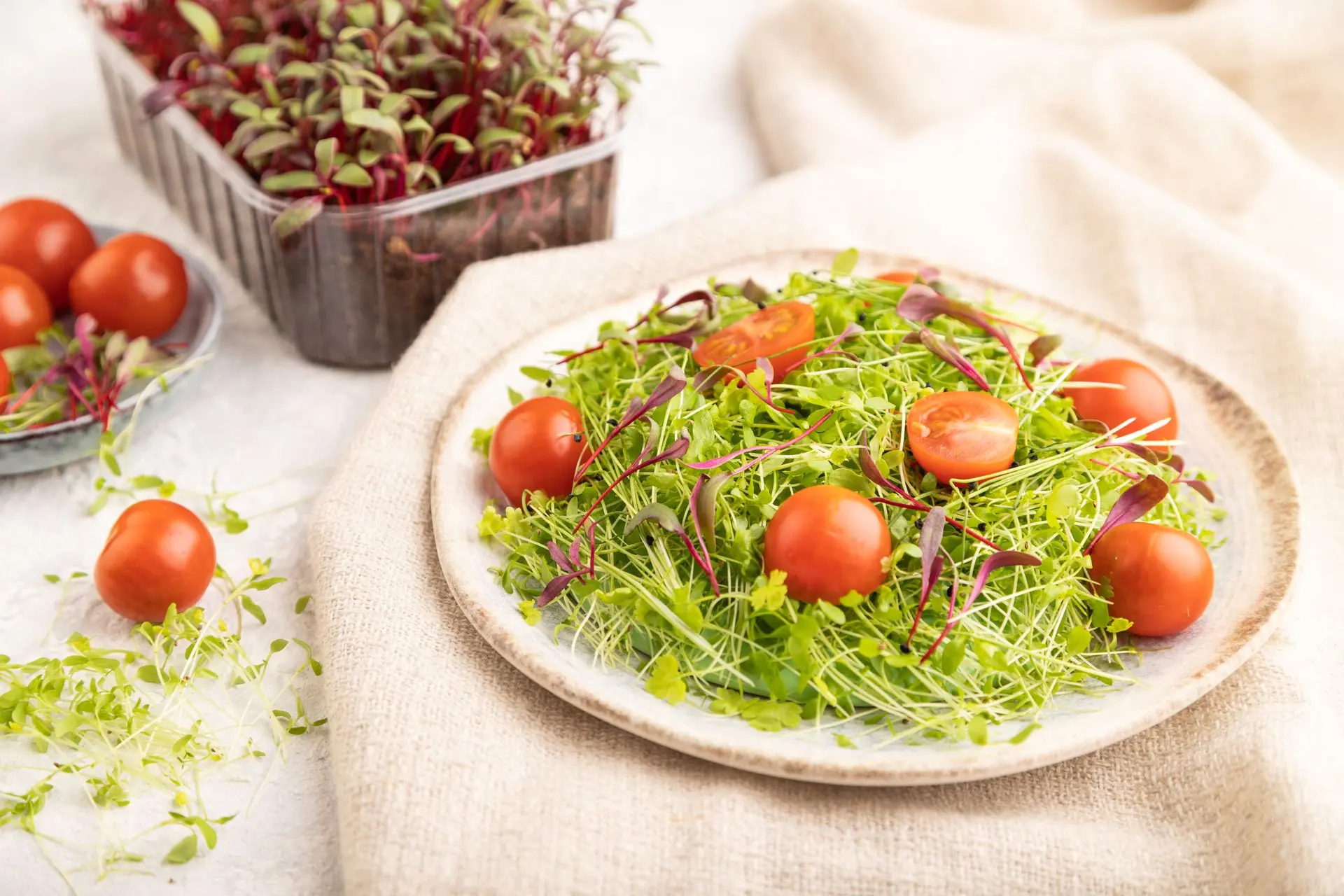 Microgroenten als saladabasis met tomaar Microgroenten als saladabasis met tomaar