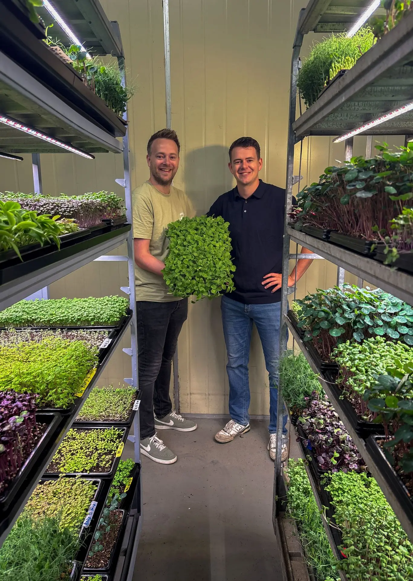 Cressen in verticalfarm