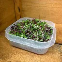 IMG_4066-2.webp