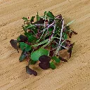 IMG20251230153522-2.webp
