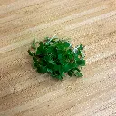 Arugula.webp