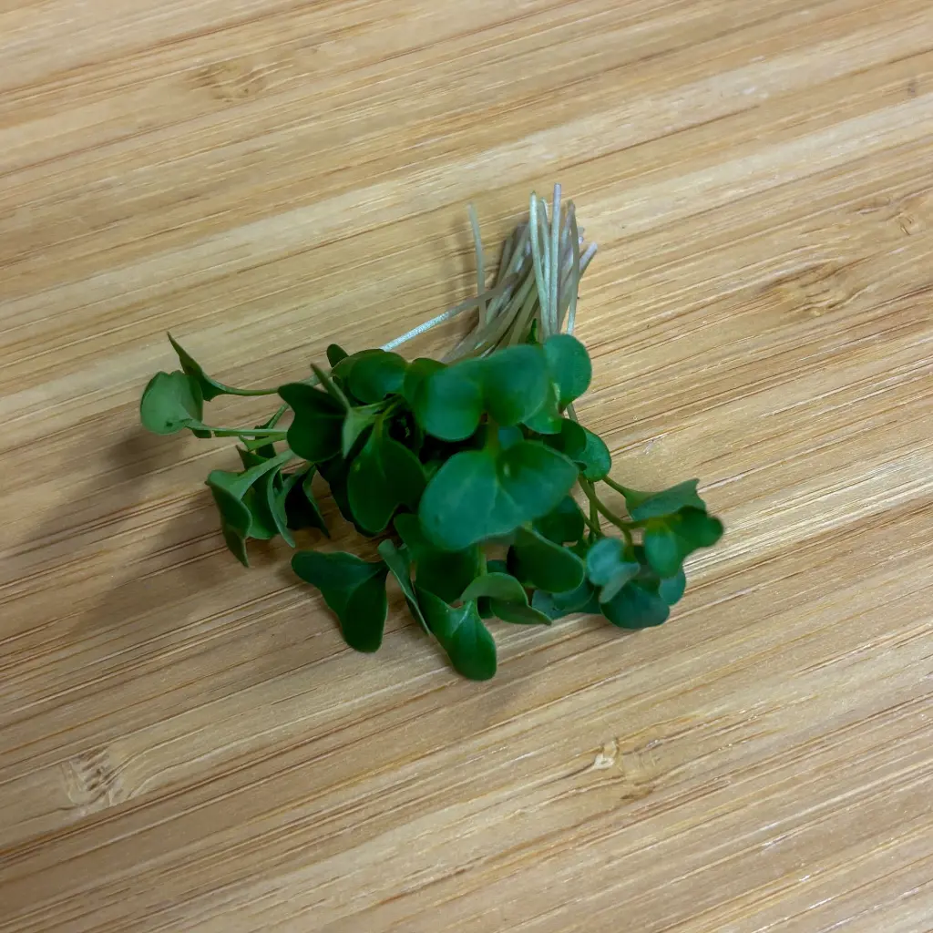 Brocolli.webp
