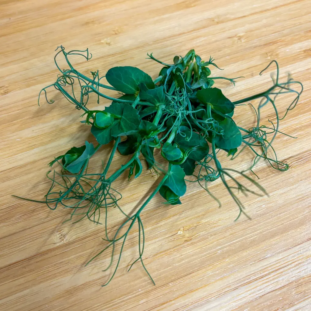 Pea Tendril.webp