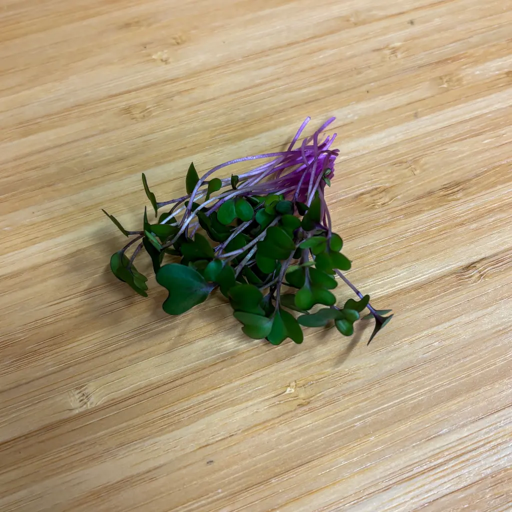 Red Cabbage.webp