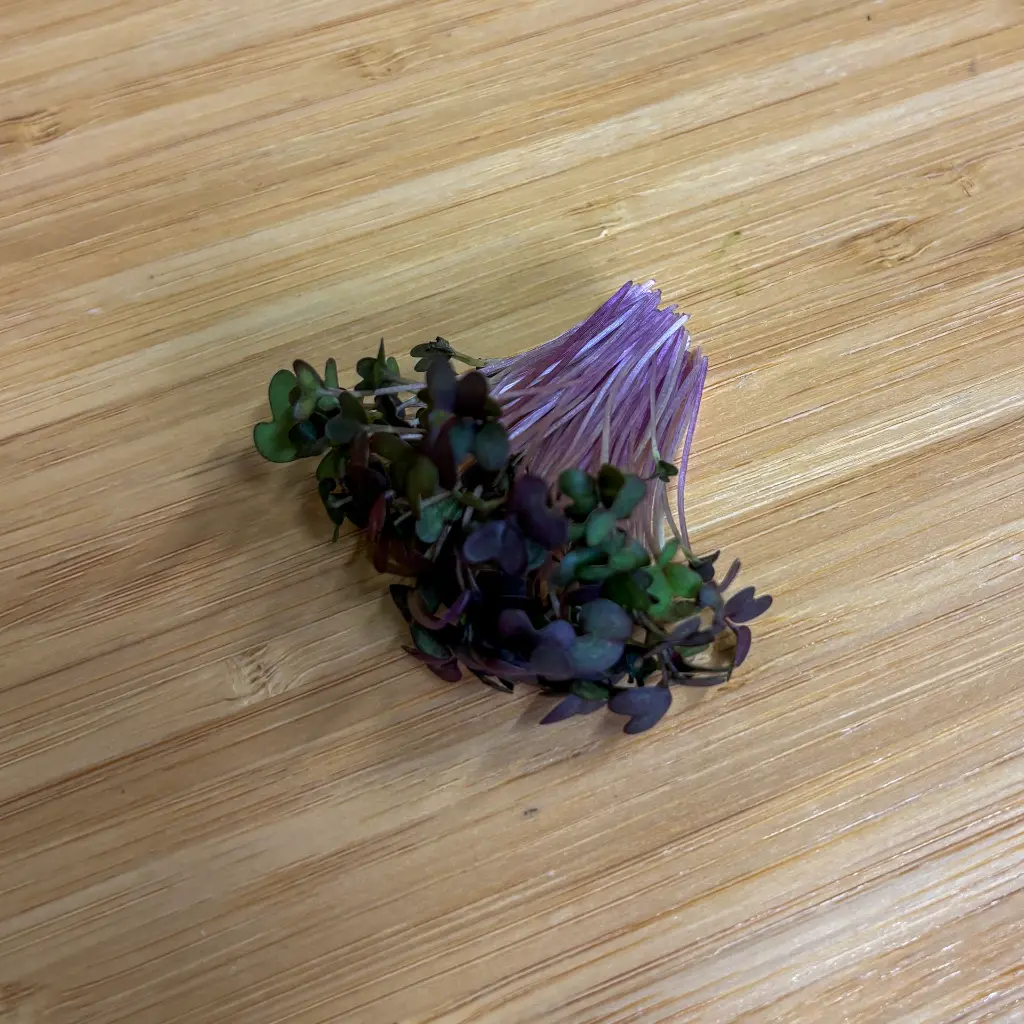 Red Mustard.webp