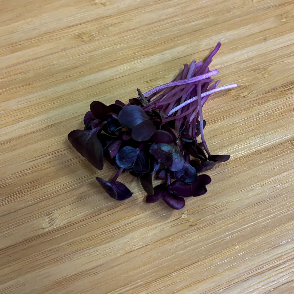 Red Radish.webp